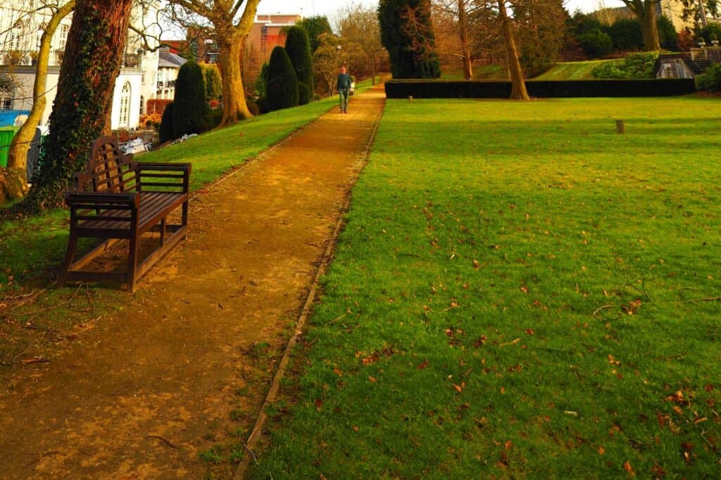 Walking path in a park one autumn afternoon